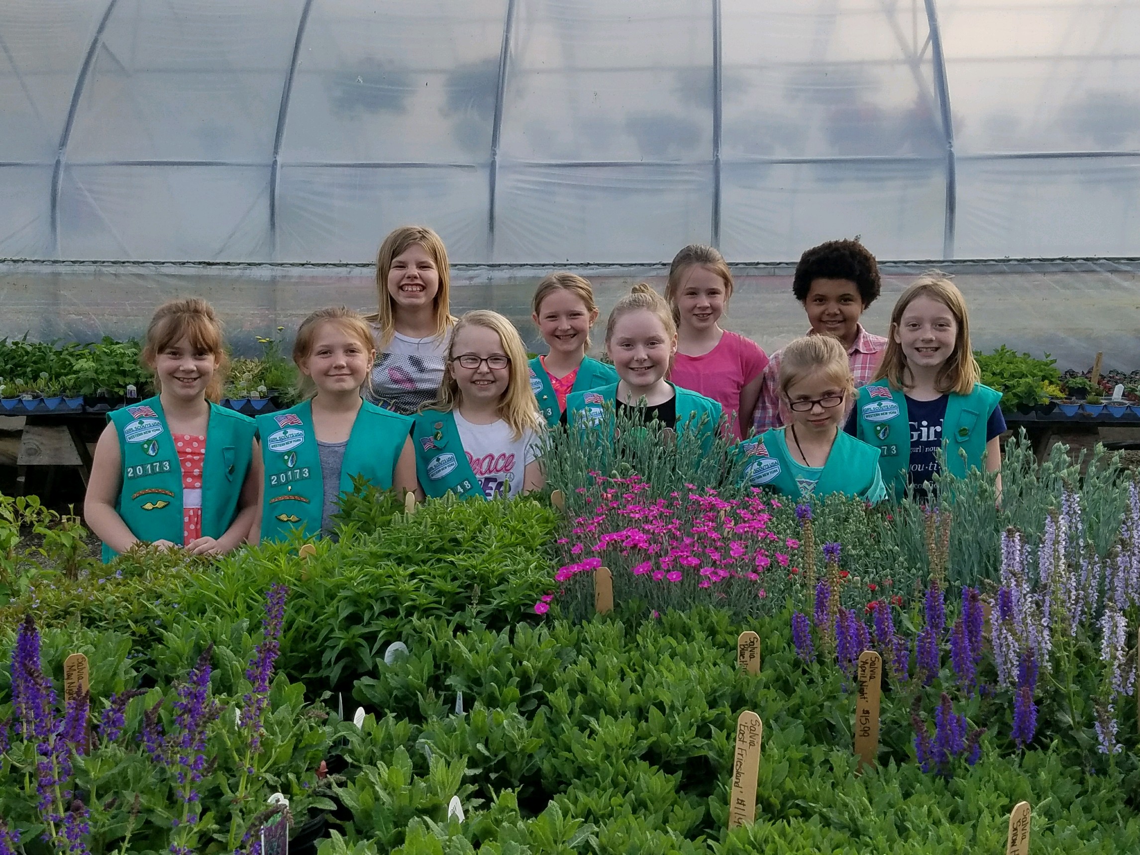 Girl Scouts Visit Westfield Nursery News, Sports, Jobs Post Journal